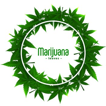 Köpa Marijuana Online